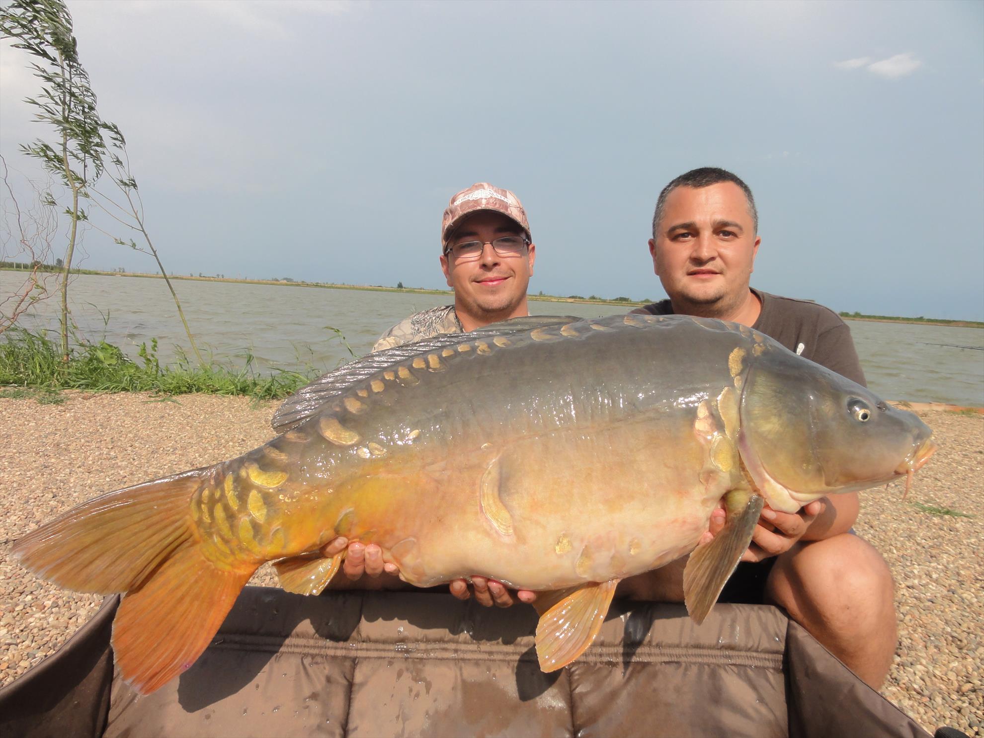 Iunie 2013 - Siclau - iunie 2013